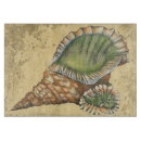 Buscar seashell Arena
