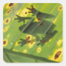 Buscar rana pegatinas Silueta