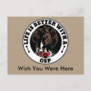 Buscar perros de caza postales Gsp