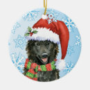 Buscar bufandas adornos Perrito