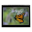 Buscar mariposas calendarios Fotografía