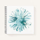 Buscar erizos libretas Azul