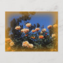 Buscar girasol retro postales Rosa