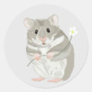 Buscar hamster pegatinas Divertido