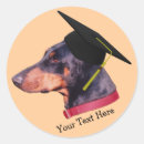 Buscar capas pegatinas Invitados