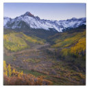 Buscar juan azulejos Usa