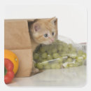 Buscar propinas pegatinas 4 º propina