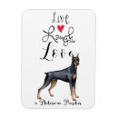 Buscar pinscher del doberman imanes Dobie