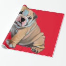 Buscar bulldog papel de regalo Patrón