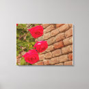 Buscar enredadera posters General y unisex