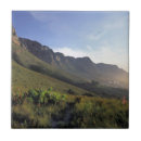 Buscar occidental azulejos Naturaleza
