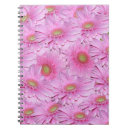 Buscar gerbera libretas Maricas