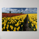 Buscar molino de viento posters Primavera