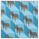 Buscar cattledog Acd