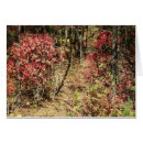 Buscar smokies Grandes montañas humeantes