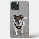 Buscar jack russell iphone fundas Aterrador