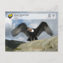 Buscar condor postales Parque nacional