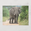 Buscar intercambios postales Foto