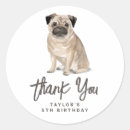 Buscar pug pegatinas Cumpleaños