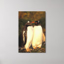 Buscar antártico arte Pájaro