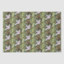 Buscar palomas papel de seda Naturaleza