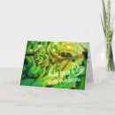 Buscar nueva zelanda tarjetas Kiwi
