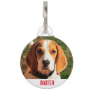 Buscar beagle perro accesorios Perros