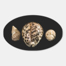 Buscar motos pegatinas Fotografía