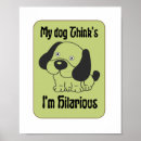 Buscar perro de trineo posters Humor