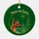 Buscar pinscher miniatura Pin mín