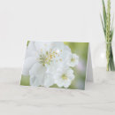 Buscar closet tarjetas Flor