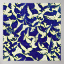 Buscar palomas blancas posters Pájaros