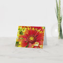 Buscar margarita roja tarjetas Naturaleza