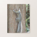 Buscar tronco de árbol puzzles Marrón