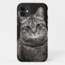 Buscar gatito del tabby iphone fundas Gato de tabby