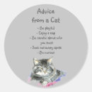 Buscar humor pegatinas Gatito