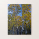 Buscar anochecer Otoño