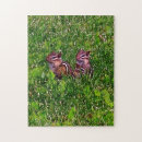 Buscar vida salvaje puzzles Para ella