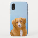 Buscar pato iphone fundas Perro