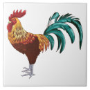 Buscar del gallo azulejos Animales