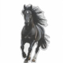 Buscar caballos salvajes pegatinas Cabeza de caballo