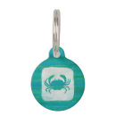 Buscar aguamarina collares La costa