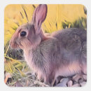 Buscar rabbit etiquetas Conejo acuarela