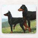 Buscar doberman alfombrillas de raton Animal
