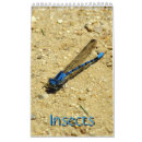 Buscar burbujas calendarios Insectos