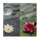 Buscar bonito azulejos General y unisex