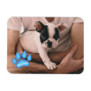 Buscar paw imanes Trineo