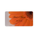 Buscar gerbera etiquetas Pétalos