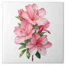 Buscar azalea azulejos Rosa