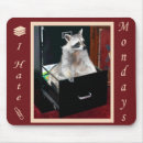 Buscar mapache alfombrillas de raton Mamífero